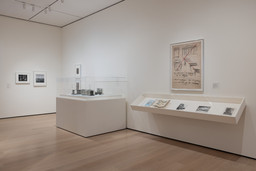 Installation photo, 16 of 19