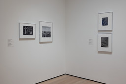 Installation photo, 18 of 19