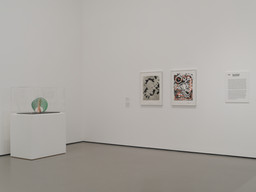 Installation photo, 5 of 6