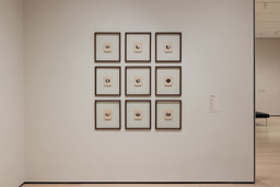 521: Visual Vernaculars | MoMA