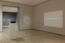 Installation photo, 28 of 29