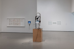Installation photo, 7 of 11