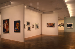 Installation photo, 30 of 38