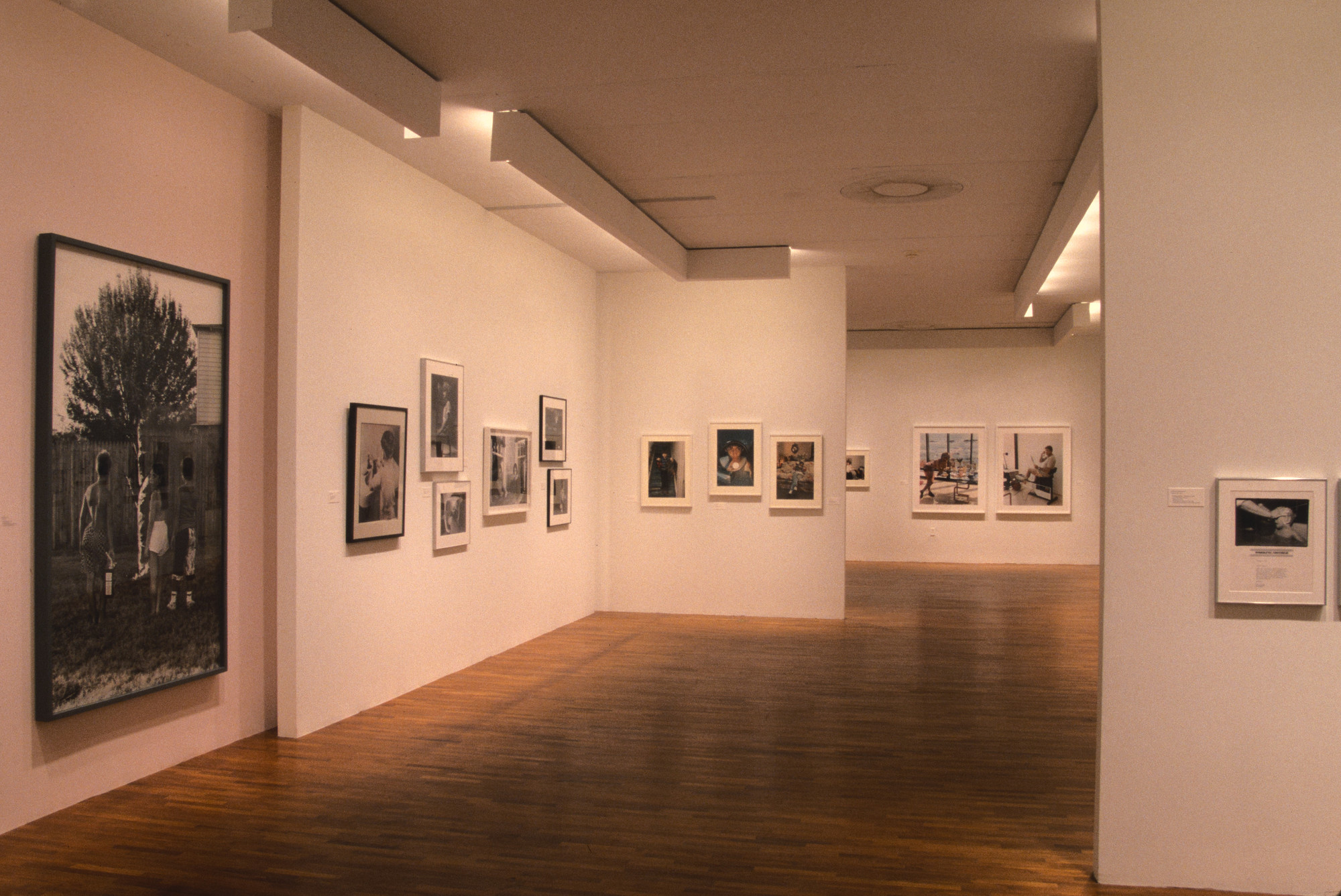 Installation view of the exhibition 