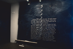 Installation photo, 14 of 14
