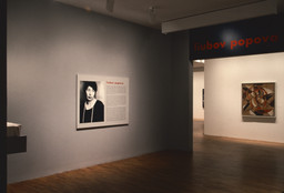 Installation photo, 22 of 36