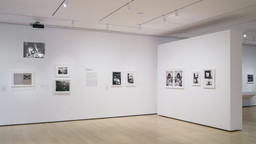 Installation photo, 45 of 64