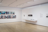 Life Dances On: Robert Frank in Dialogue. Sep 15, 2024–Jan 11, 2025. 1 other work identified