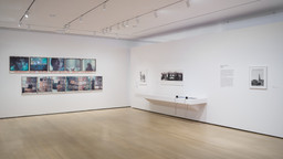 Installation photo, 49 of 64