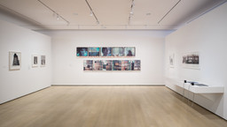 Installation photo, 53 of 64