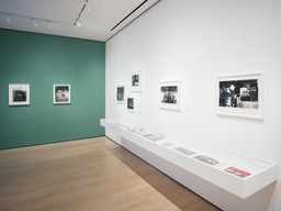 Installation photo, 56 of 64