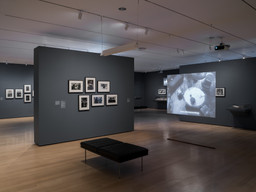 Installation photo, 16 of 64
