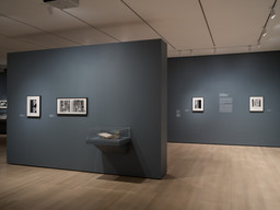 Installation photo, 19 of 64