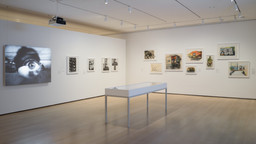 Installation photo, 37 of 64
