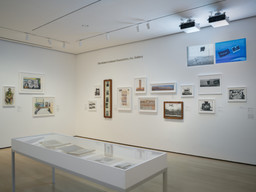Installation photo, 38 of 64