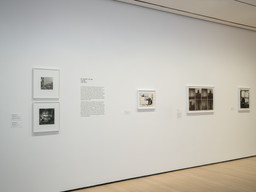 Installation photo, 43 of 64