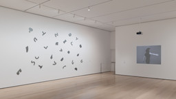 Installation photo, 7 of 8