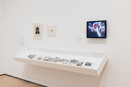 Installation photo, 17 of 23