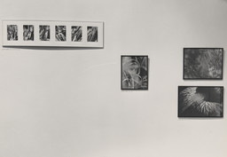 Installation photo, 45 of 67