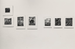 Installation photo, 51 of 67