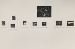 Installation photo, 61 of 67