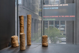 Installation photo, 5 of 20
