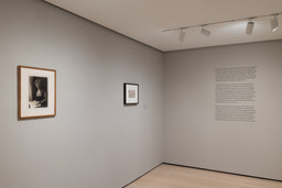 Installation photo, 3 of 38