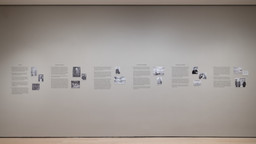 Installation photo, 10 of 38