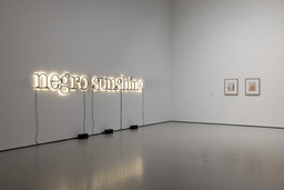 Installation photo, 11 of 13