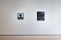 Installation photo, 14 of 16