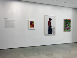 Installation photo, 2 of 3
