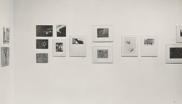 Installation photo, 21 of 24