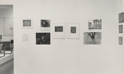 Installation photo, 22 of 24