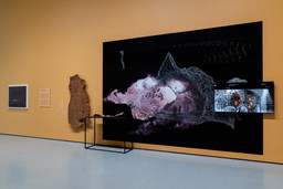 Installation photo, 1 of 10