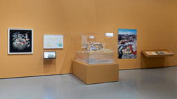 Installation photo, 9 of 10