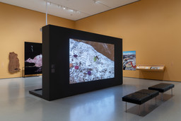 Installation photo, 6 of 10