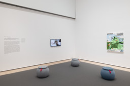 Installation photo, 6 of 14