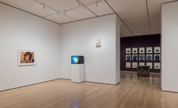 Installation photo, 14 of 77