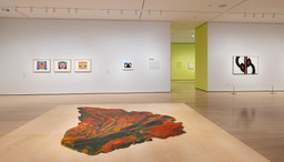Installation photo, 43 of 77