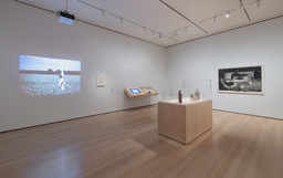 Installation photo, 49 of 77
