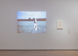 Installation photo, 51 of 77