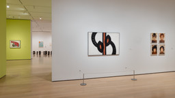 Installation photo, 54 of 77