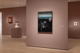 Installation photo, 41 of 41