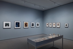 Installation photo, 8 of 10