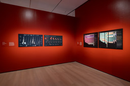 Installation photo, 41 of 51
