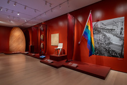Installation photo, 14 of 51