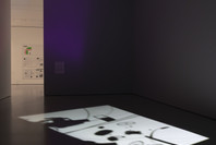 211: Paul Chan’s 1st Light. Apr 3, 2021–Aug 1, 2022.