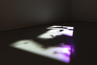 211: Paul Chan’s 1st Light. Apr 3, 2021–Aug 1, 2022.