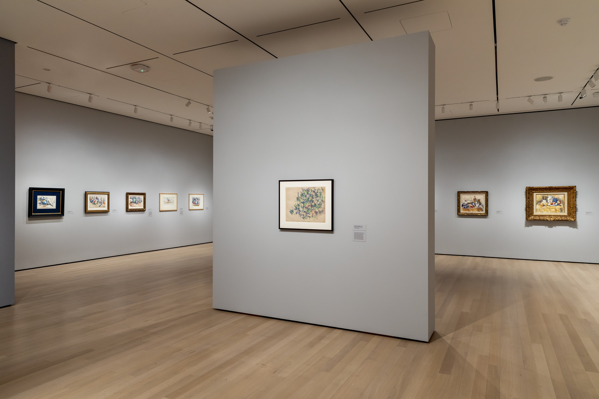 Installation view of the exhibition 