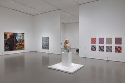 Installation photo, 6 of 17